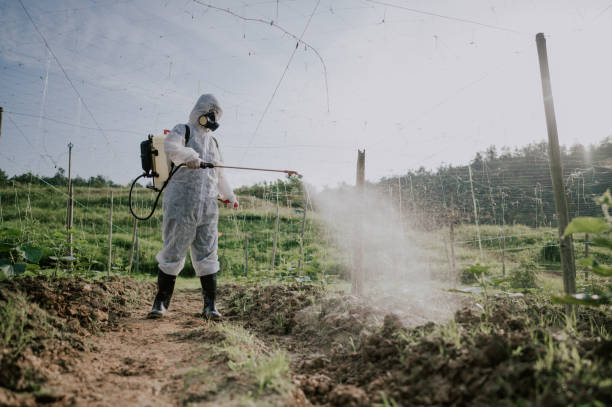 Best Best Pest Control Companies  in Mount Vista, WA
