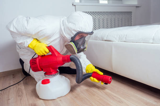 Best Rat Extermination Near Me  in Mount Vista, WA