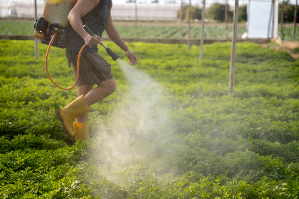  Mount Vista, WA Pest Control Pros