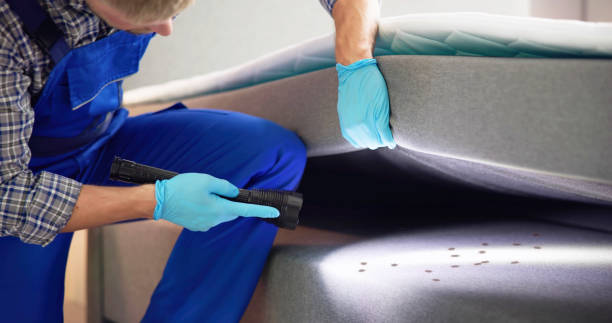 Best Mosquito Control Services  in Mount Vista, WA