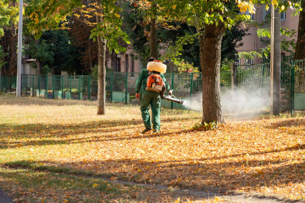 Best Pest Prevention Services  in Mount Vista, WA